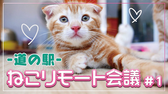 明治安田生命ムービーサムネイル